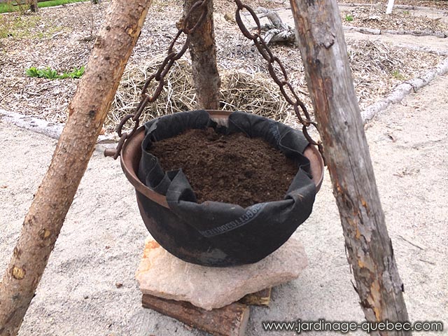 Jardinage en pot - Antiquit Chaudron en fonte au jardin - Mise en valeur d'un chaudron en fonte