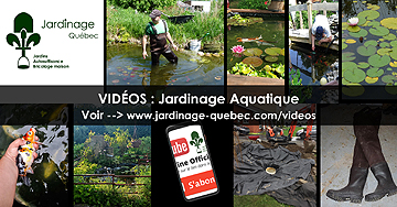 Jardinage aquatique - Bassins de jardin