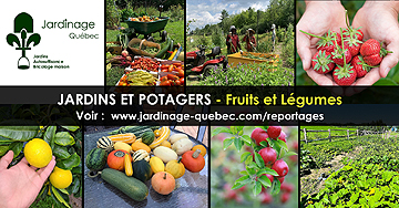 Jardin potager fruits et légumes