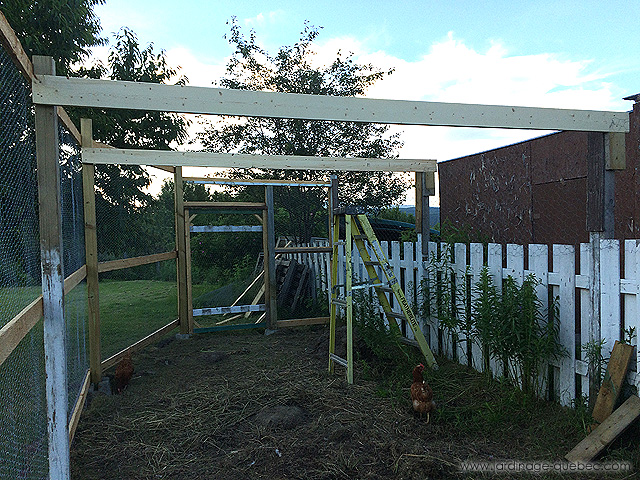 Comment construire une volière extérieure dans votre jardin