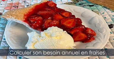 Achat fraises