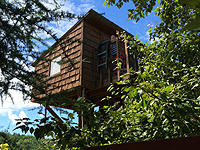 Hébergement insolite - Maison dans les arbres