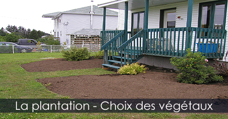 Choisir plantes