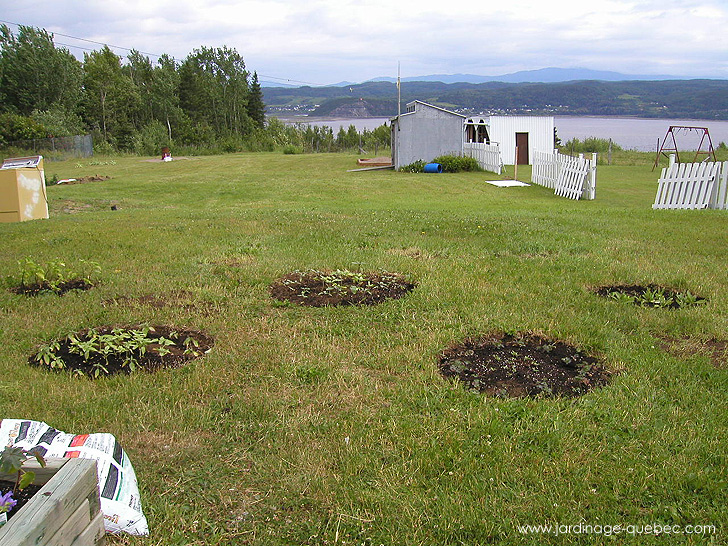 Premières Plates-Bandes - Photos Jardin Le Jardin des Patriotes - Pascal Tremblay La Baie Québec