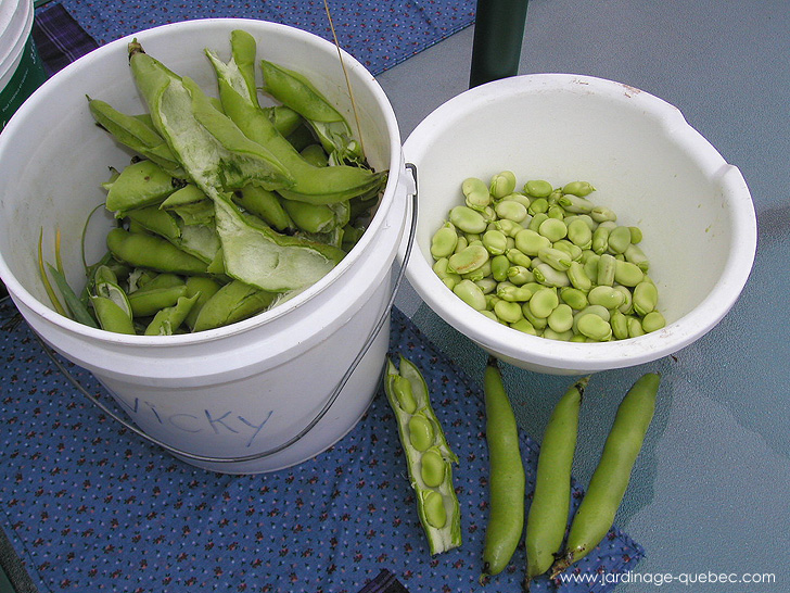 Gourgane - Photos Jardin Le Jardin des Patriotes - Pascal Tremblay La Baie Québec
