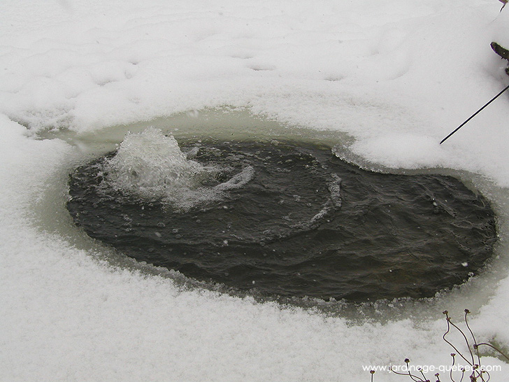 Déglaceur pour jardin d'eau - Photos Jardin Le Jardin des Patriotes - Pascal Tremblay La Baie Québec