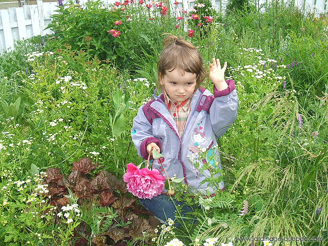 Promenade au jardin Amélya Tremblay - Photos Jardin Le Jardin des Patriotes - Pascal Tremblay La Baie Québec