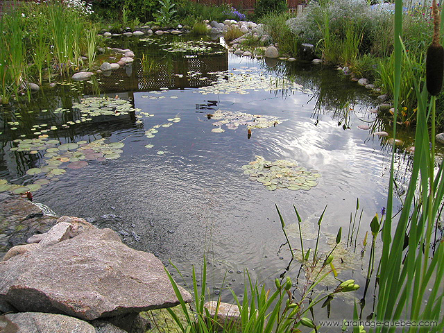 Étang de jardin - Photos Jardin Le Jardin des Patriotes - Pascal Tremblay La Baie Québec