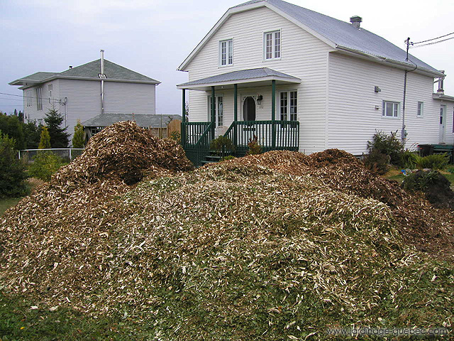 Bois raméal fragmenté en vrac - Achat bois raméal fragmenté