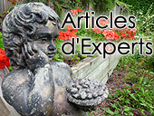 Jardinage Québec nos Collaborateurs - Articles d'experts