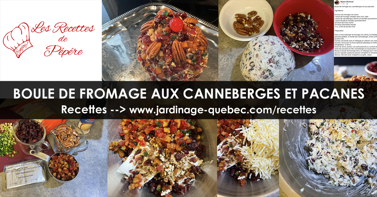 Boule de fromage aux canneberges et aux pacanes