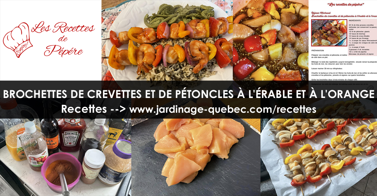 Brochettes de crevettes et de pétoncles à l'érable et à l'orange