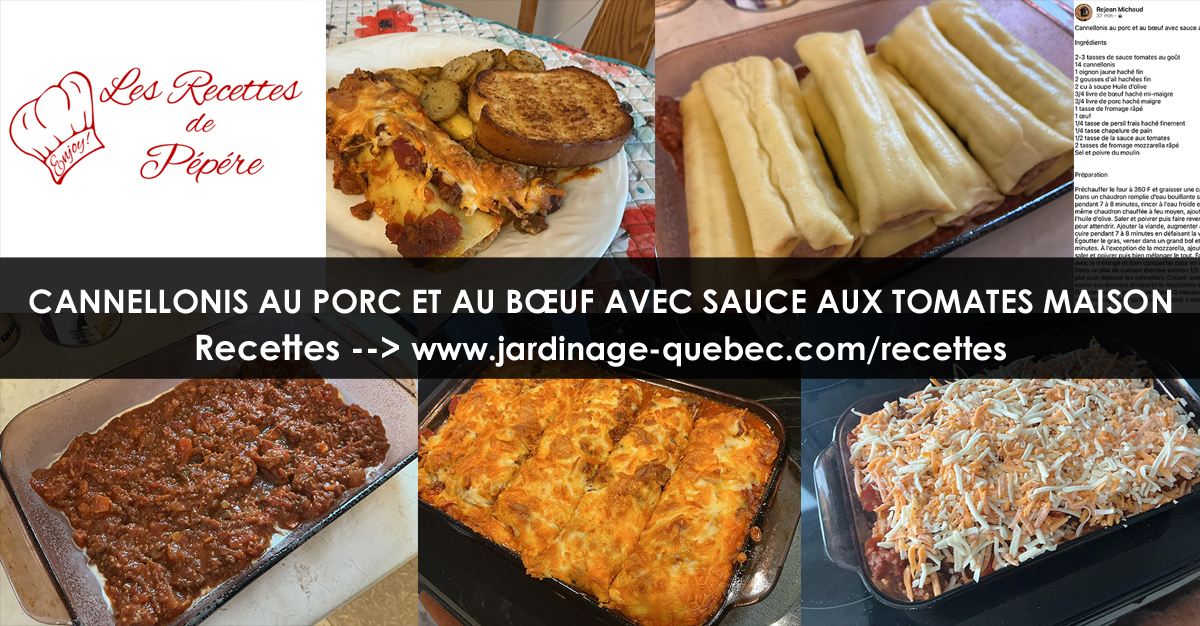 Cannellonis au porc et au bœuf avec sauce aux tomates maison