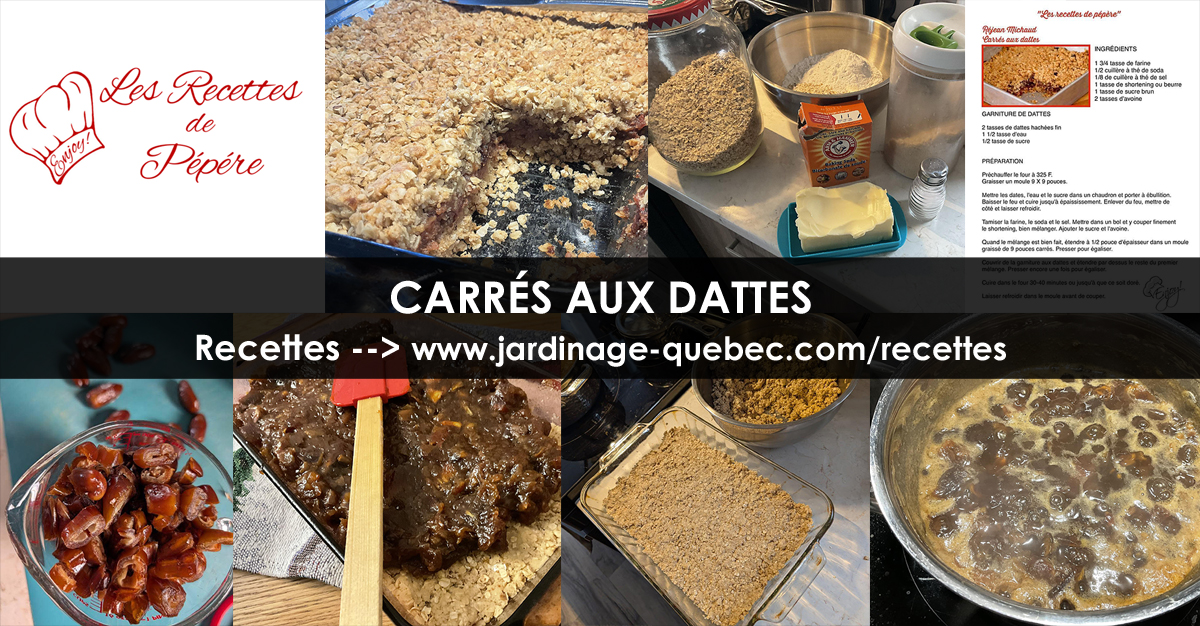 Carrés aux dattes