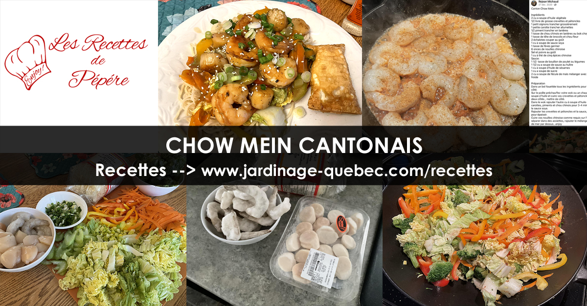 Chow mein cantonais