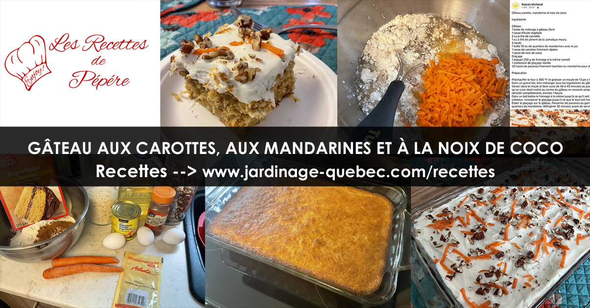 Gâteau aux carottes, mandarines et noix de coco moelleux avec glaçage au fromage à la crème