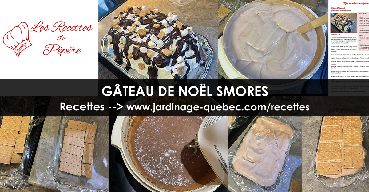 Gâteau de Noël Smores