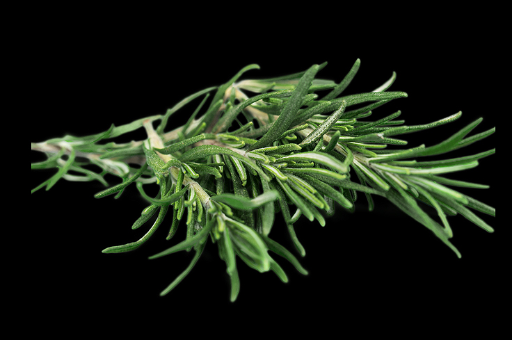 Herbes de Provence