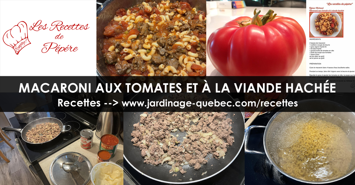 Macaroni aux tomates et à la viande hachée