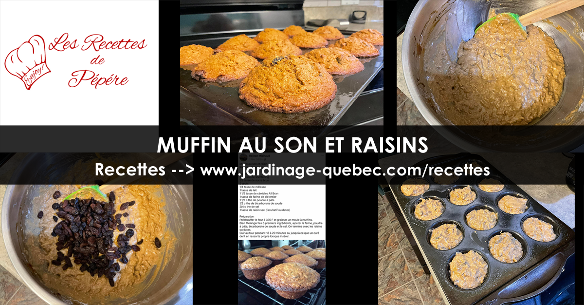 Muffins au son et raisins