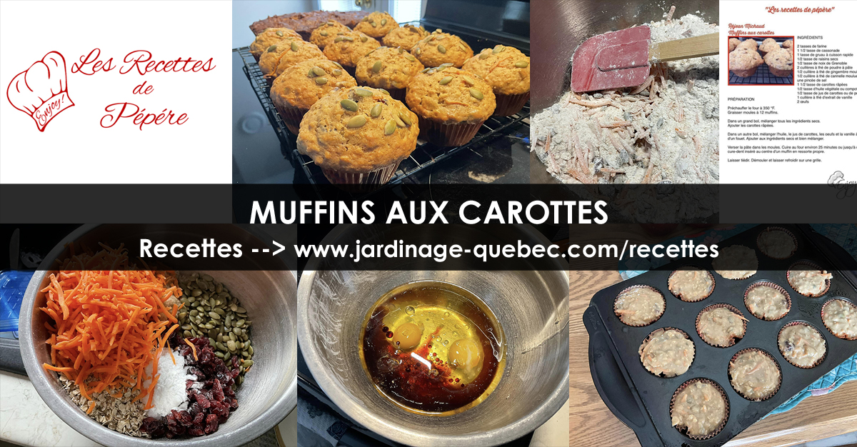 Muffins aux carottes