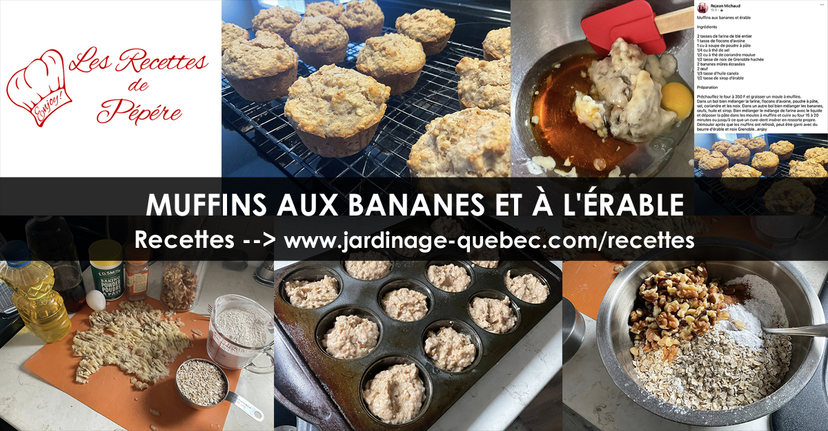 Muffins aux bananes et à l’érable