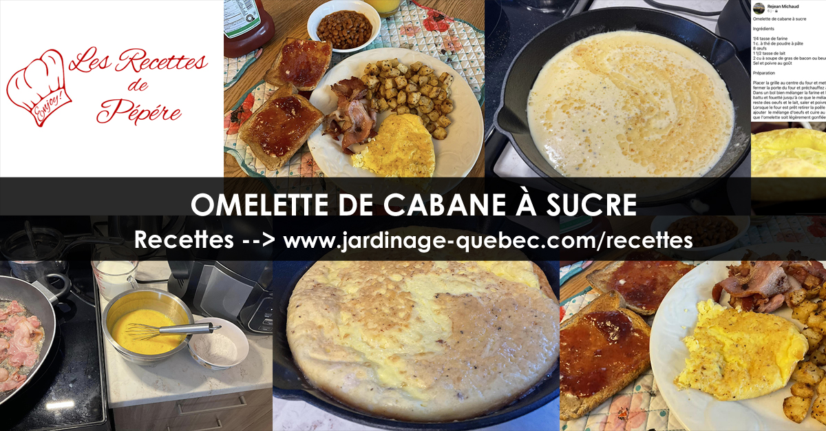 Omelette de cabane à sucre