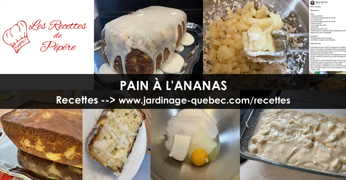 Pain à l'ananas
