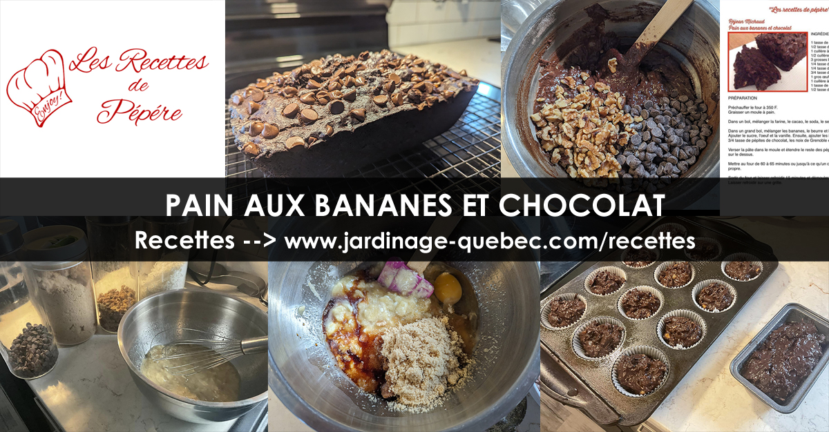 Pain aux bananes et chocolat