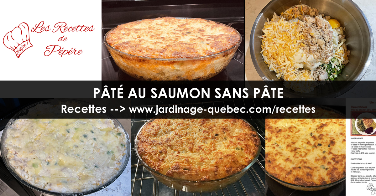 Pâté au saumon
