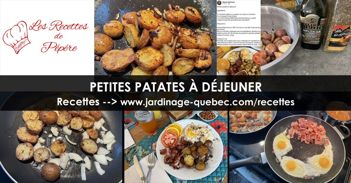 Petites patates à déjeuner