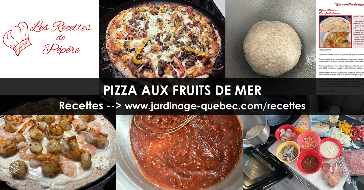 Pizza aux fruits de mer