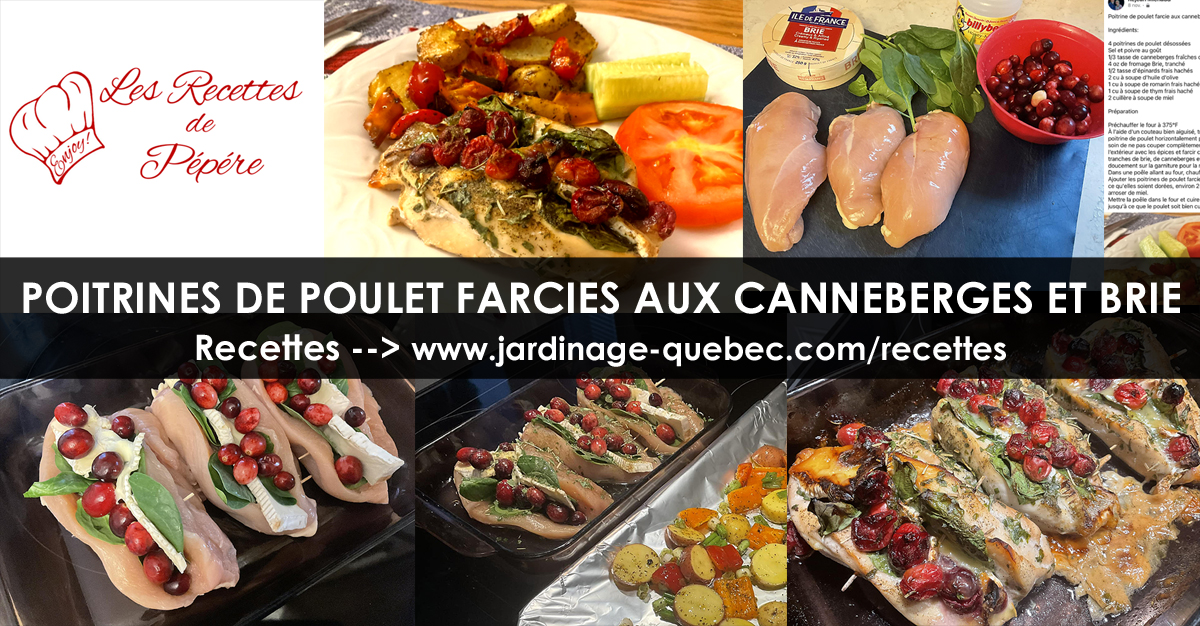 Poitrines de poulet farcies aux canneberges et brie