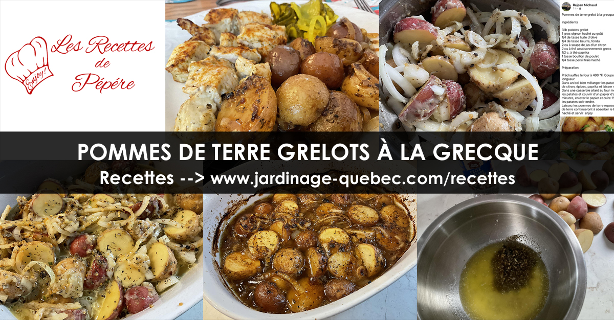 Pommes de terre grelots à la grecque