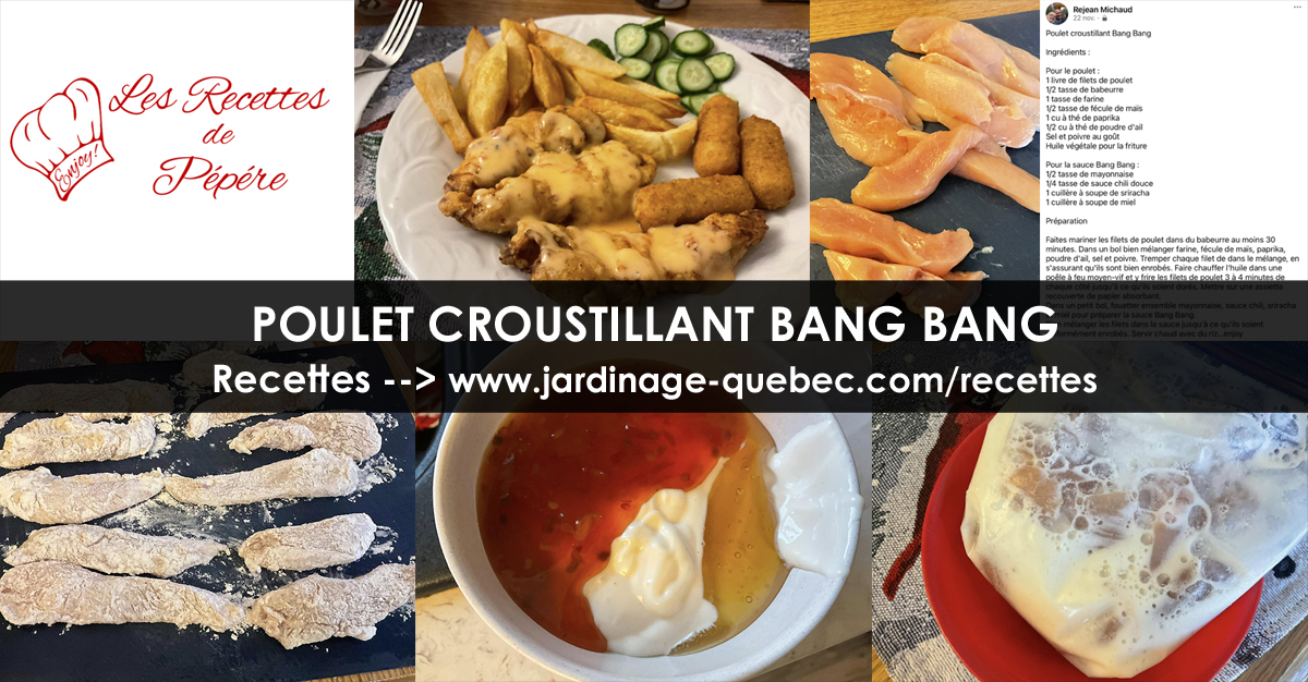 Poulet croustillant Bang Bang