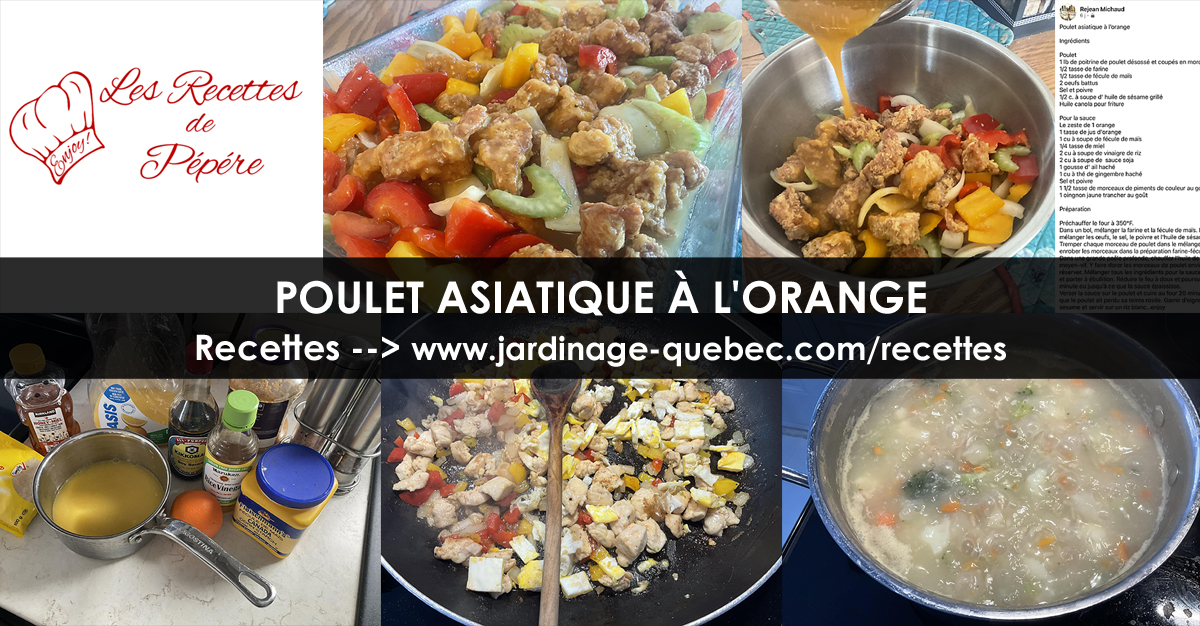 Poulet asiatique à l’orange