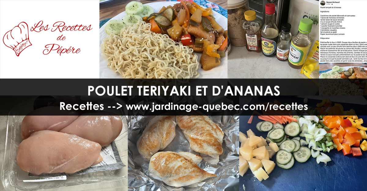 Poulet Teriyaki et Ananas
