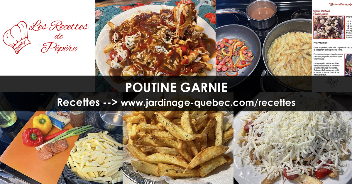Poutine garnie