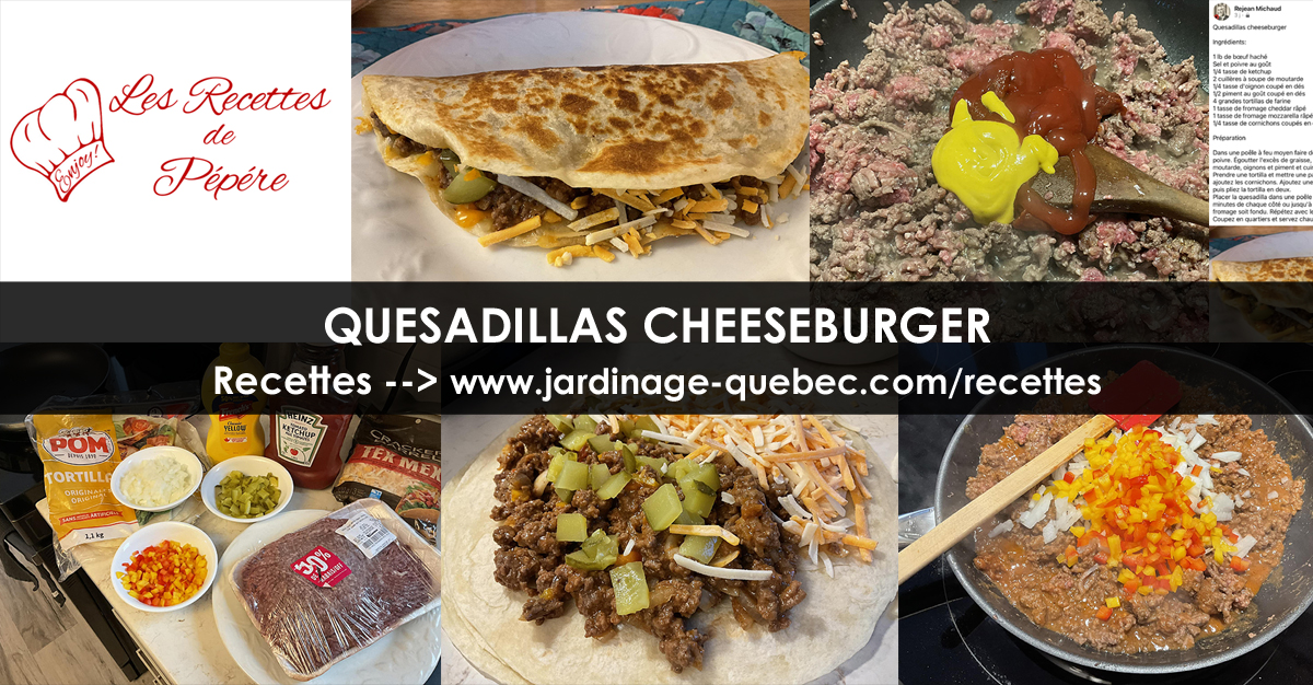Quesedillas cheeseburger