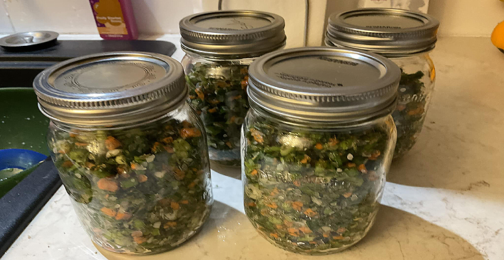 Recette d'Herbes salées maison