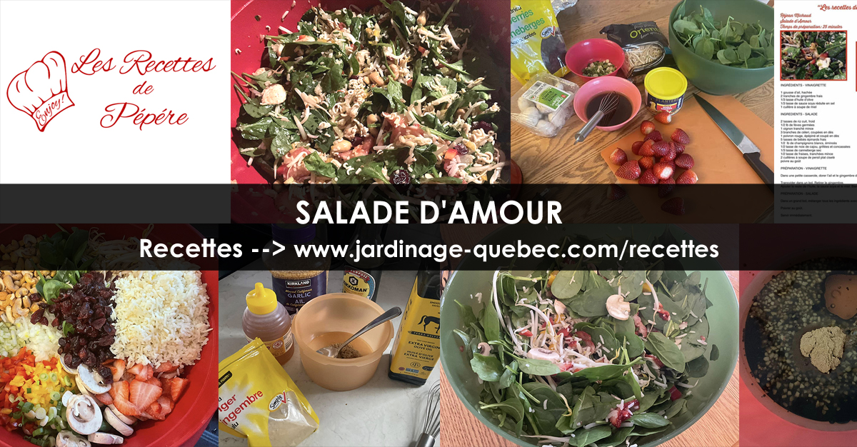 Salade d'amour