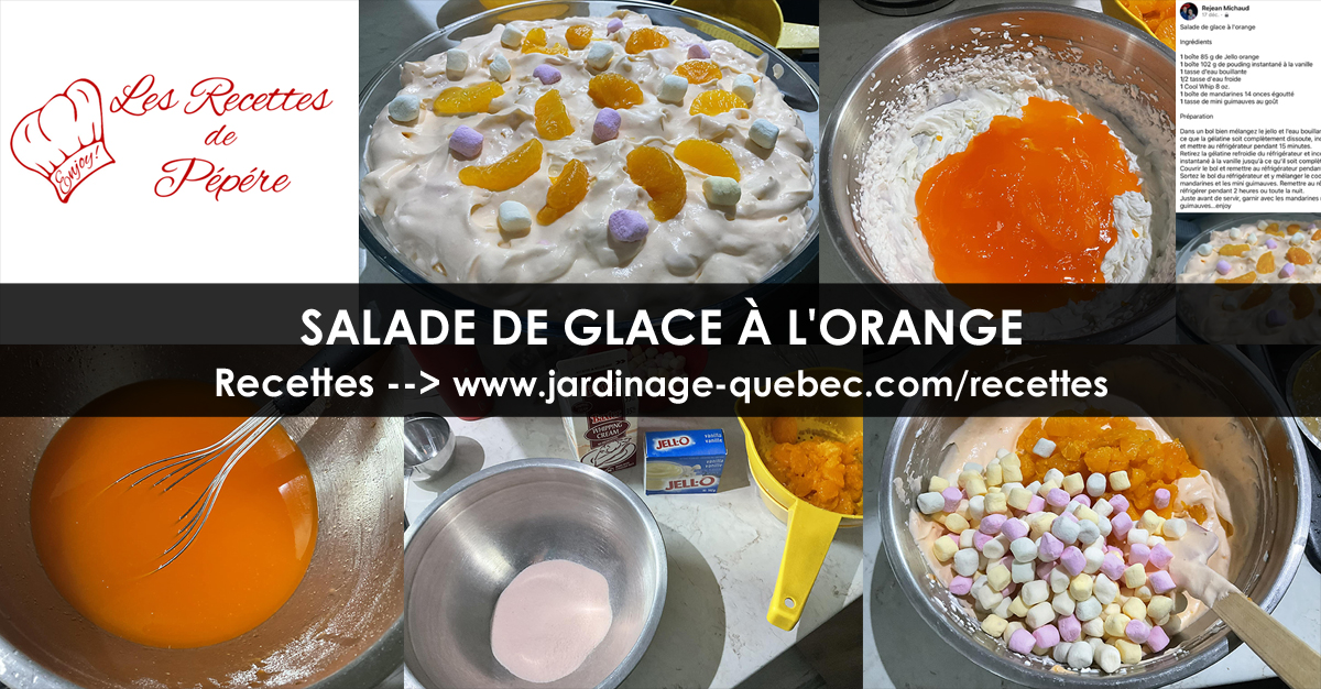Salade de glace à l'orange
