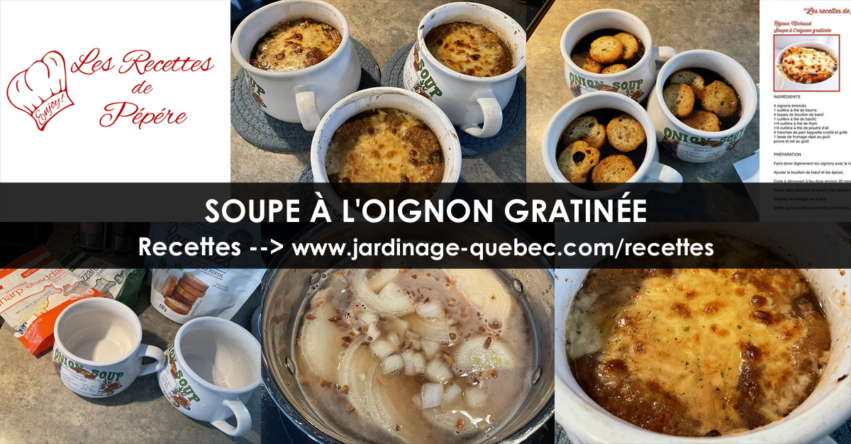 Soupe à l'oignon gratinée