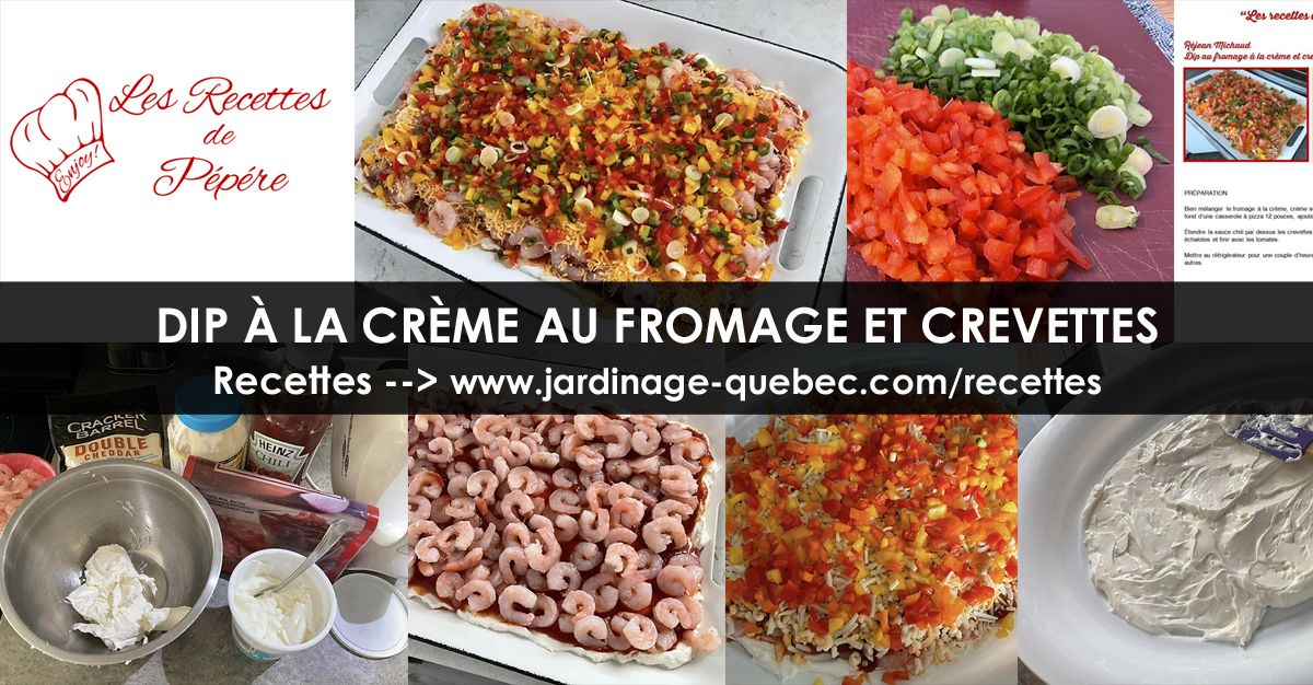 Trempette au fromage à la crème et crevettes