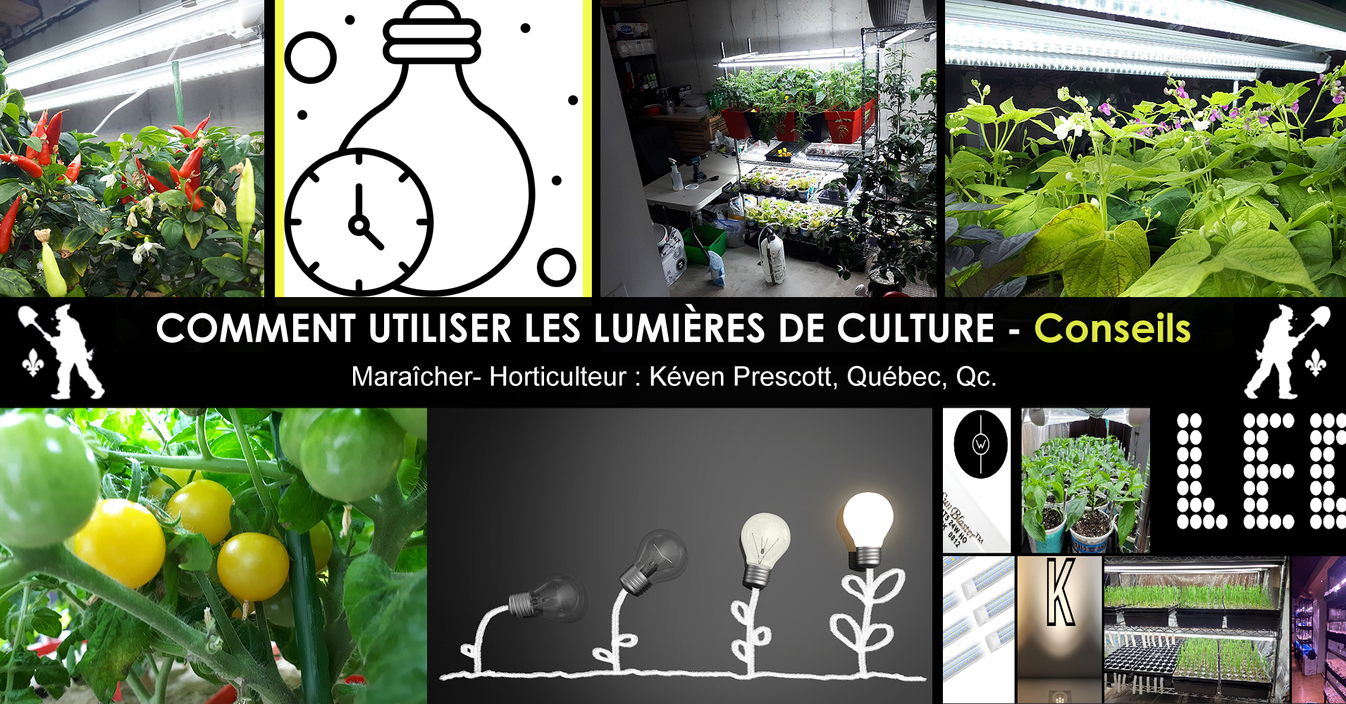 La Distance Optimale Entre Les Lampes De Culture Et Les Plants - Zamnesia  Blog