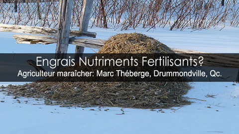 Faire la différence entre les engrais, les nutriments et les fertilisants