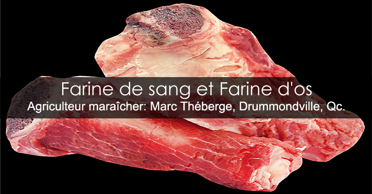 Farine de sang et farine d'os