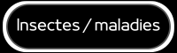 Insectes et maladies