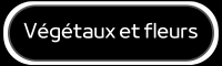Végétaux et fleurs