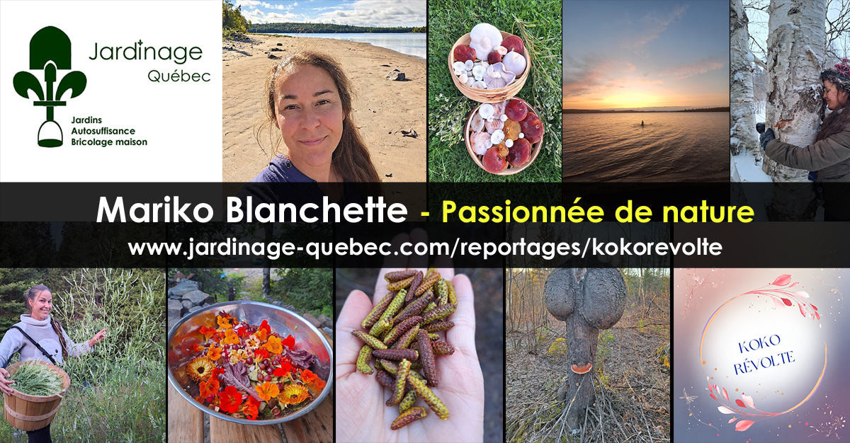 Mariko Blanchette - Kokorévolte Collaboratrice de Jardinage Bricolage Autosuffisance Recyclage Québec